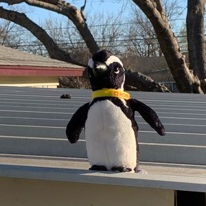 Meet your Posher, Sam